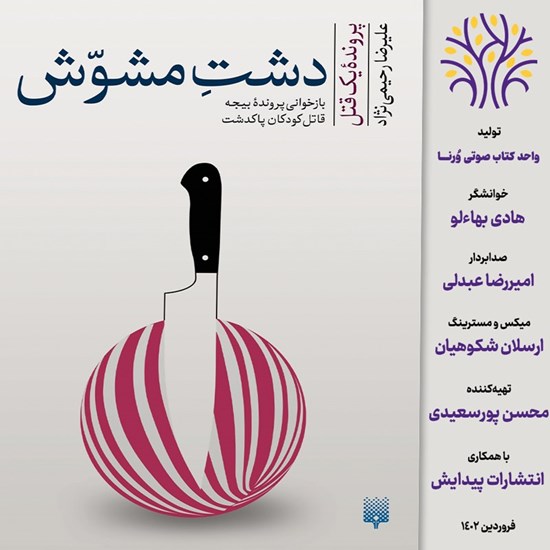 تصویر جلد کتاب صوتی دشت مشوش