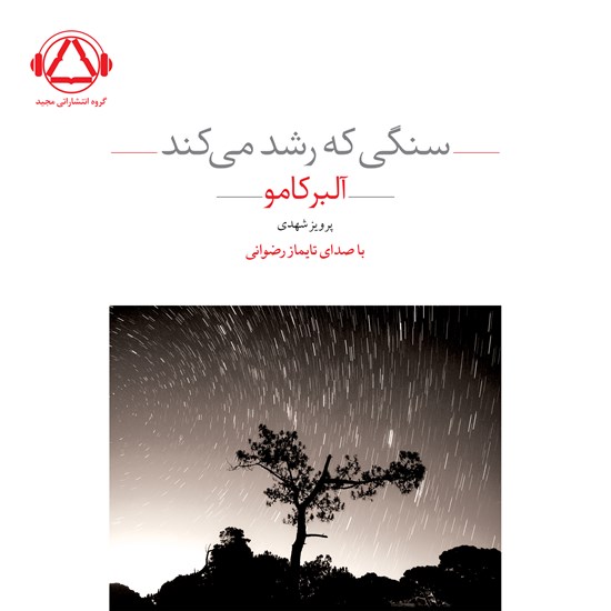 تصویر جلد کتاب صوتی سنگی که رشد می کند
