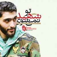 تصویر جلد کتاب صوتی تو شهید نمی شوی