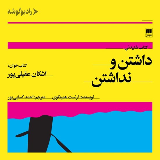 تصویر جلد کتاب صوتی داشتن و نداشتن