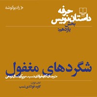 کتاب صوتی حرفه: داستان نویس ۱۱ اثر ساندرا اسمیت