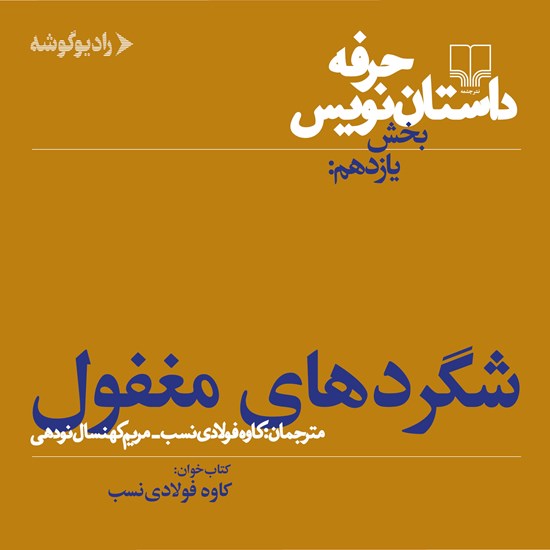 تصویر جلد کتاب صوتی حرفه: داستان نویس ۱۱