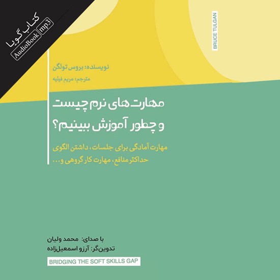 تصویر جلد کتاب صوتی مهارت های نرم چیست و چطور آموزش ببینیم
