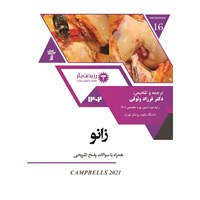 کتاب صوتی زانو B - فصل ۵۱ اثر فرزاد وثوقی