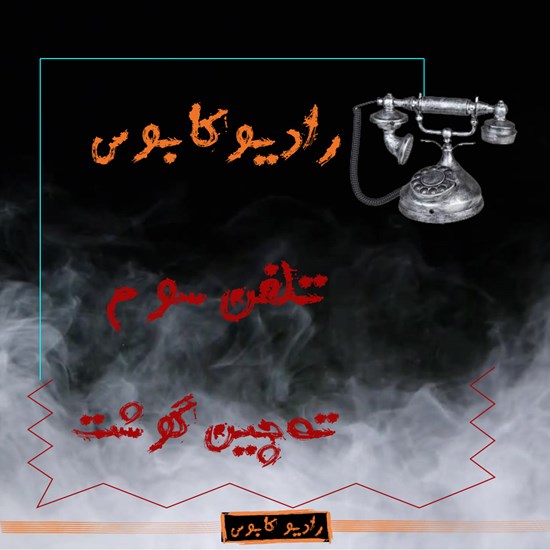تصویر جلد کتاب صوتی ته چین گوشت