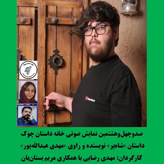 تصویر جلد کتاب صوتی شاه‌ پر