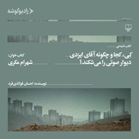 کتاب صوتی کی ، کجا و چگونه آقای ایزدی دیوار صوتی را می شکند؟ اثر احسان فولادی فرد