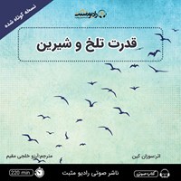 تصویر جلد کتاب صوتی قدرت تلخ و شیرین