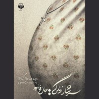 تصویر جلد کتاب صوتی سرشار زندگی