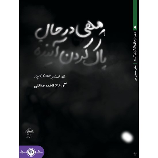 تصویر جلد کتاب صوتی مهی در حال پاک کردن آینده
