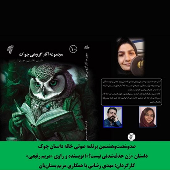 تصویر جلد کتاب صوتی زن حذف شدنی نیست