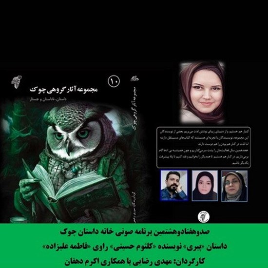 تصویر جلد کتاب صوتی پیری