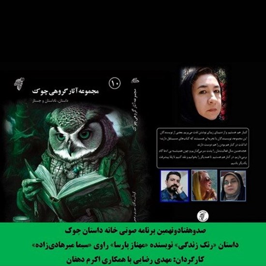 تصویر جلد کتاب صوتی رنگ زندگی