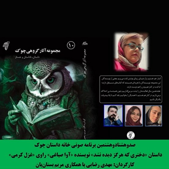 تصویر جلد کتاب صوتی دختری که هرگز دیده نشد