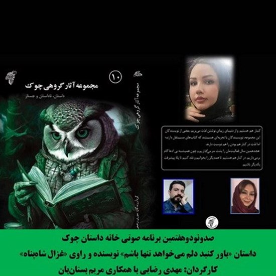 تصویر جلد کتاب صوتی باور کنید دلم می خواهد تنها باشم