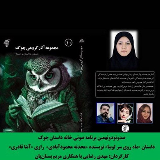 تصویر جلد کتاب صوتی ماه روی سر لوبیا
