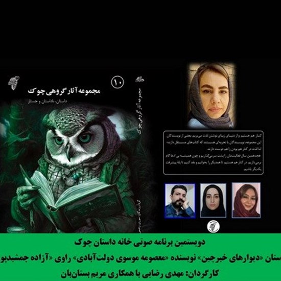 تصویر جلد کتاب صوتی دیوارهای خبرچین