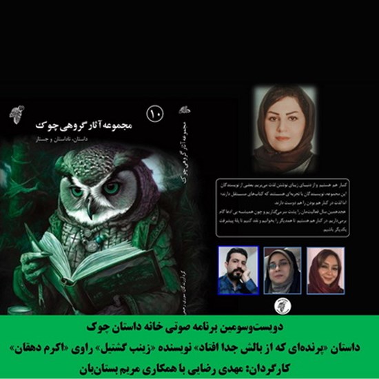 تصویر جلد کتاب صوتی پرنده‌ ای که از بالش جدا افتاد