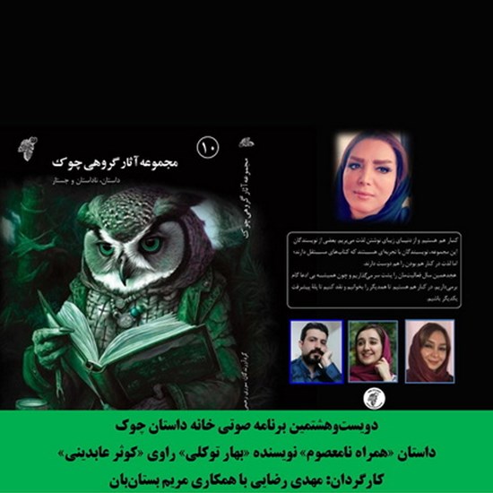 تصویر جلد کتاب صوتی همراه نامعصوم