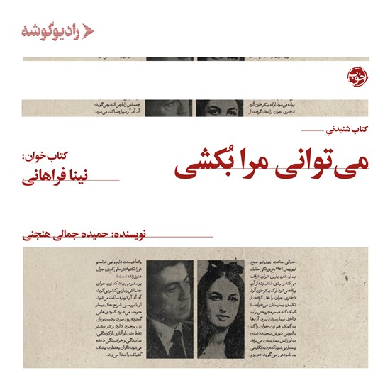 تصویر جلد کتاب صوتی می توانی مرا بکشی