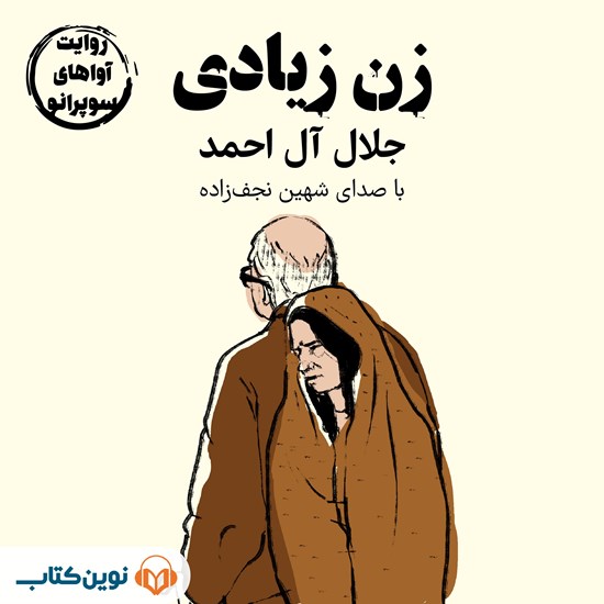 تصویر جلد کتاب صوتی زن زیادی
