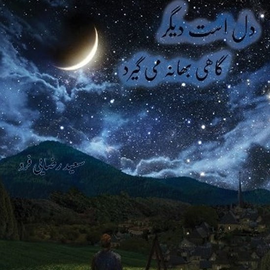 تصویر جلد کتاب صوتی دل است دیگر گاهی بهانه می گیرد