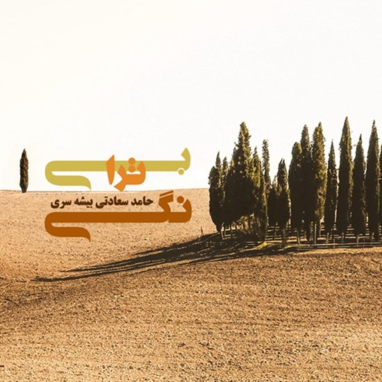 تصویر جلد کتاب صوتی بی ترانگی