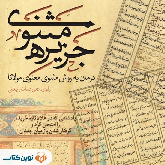 تصویر جلد کتاب صوتی جزیره مثنوی؛ پادشاهی که دو غلام تازه خریده را امتحان کرد و گرفتار شدن باز میان جغدان