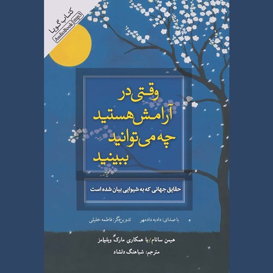 تصویر جلد کتاب صوتی وقتی در آرامش هستید چه می توانید ببینید