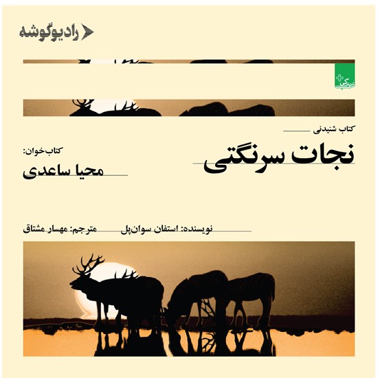 تصویر جلد کتاب صوتی نجات سرنگتی