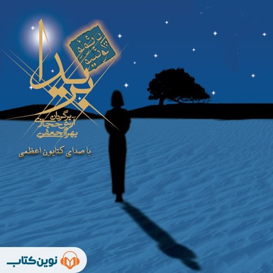 تصویر جلد کتاب صوتی بریدا