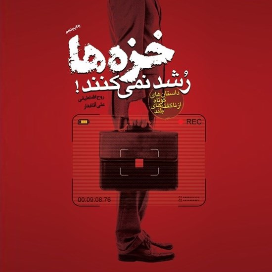 تصویر جلد کتاب صوتی خزه ها رشد نمی کنند