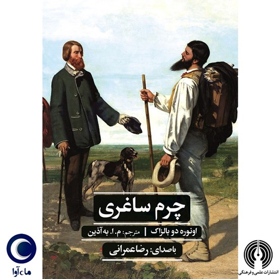 تصویر جلد کتاب صوتی چرم ساغری