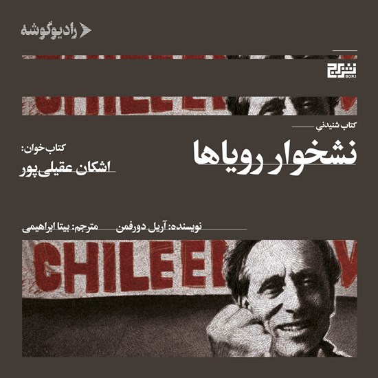 تصویر جلد کتاب صوتی نشخوار رویاها