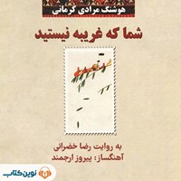 تصویر جلد کتاب صوتی شما که غریبه نیستید