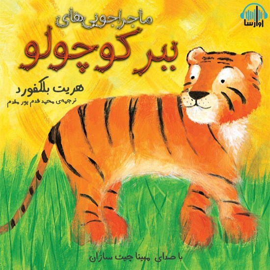 تصویر جلد کتاب صوتی ماجراجویی های ببر کوچولو