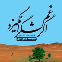 تصویر جلد کتاب صوتی اگر غم لشگر انگیزد