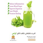 تصویر جلد کتاب صوتی قدرت شفابخش شگفت انگیز کرفس (خلاصه کتاب)