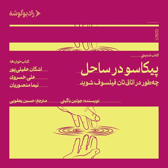 تصویر جلد کتاب صوتی پیکاسو در ساحل