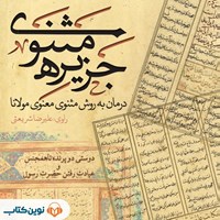 تصویر جلد کتاب صوتی جزیره مثنوی؛ دوستی دو پرنده ناهمجنس و عیادت رفتن حضرت رسول
