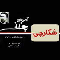 تصویر جلد کتاب صوتی شکارچی