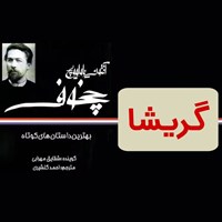 تصویر جلد کتاب صوتی گریشا