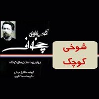 تصویر جلد کتاب صوتی شوخی کوچک
