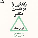 تصویر جلد کتاب صوتی زندگی را در دست بگیر 