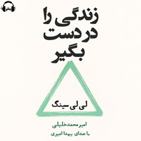 تصویر جلد کتاب صوتی زندگی را در دست بگیر 
