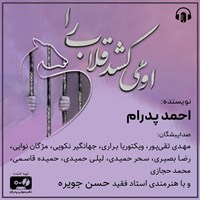تصویر جلد کتاب صوتی او می‌ کشد قلاب را 