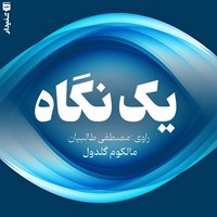 تصویر جلد کتاب صوتی یک نگاه (خلاصه کتاب)