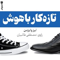 تصویر جلد کتاب صوتی تازه کار باهوش (خلاصه کتاب)