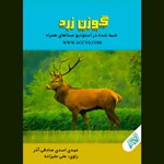تصویر جلد کتاب صوتی گوزن زرد