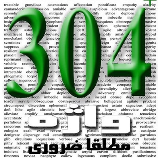 تصویر جلد کتاب صوتی ۳۰۴ واژهی مطلقا ضروری (کتاب)